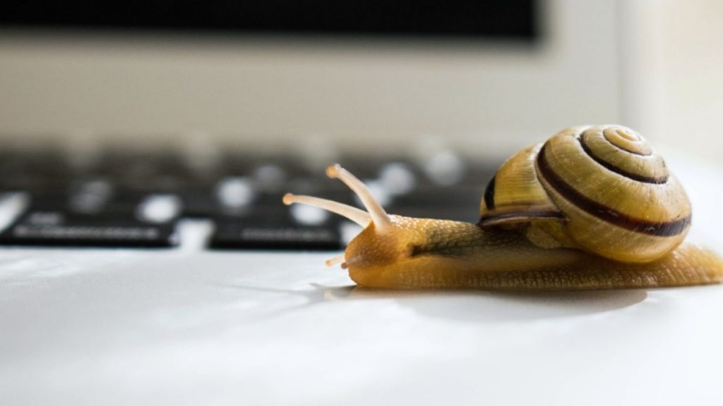 snail-crawling-across-laptop-computer-slow-why-is-my-laptop-slow-ss-Featured-1200x675